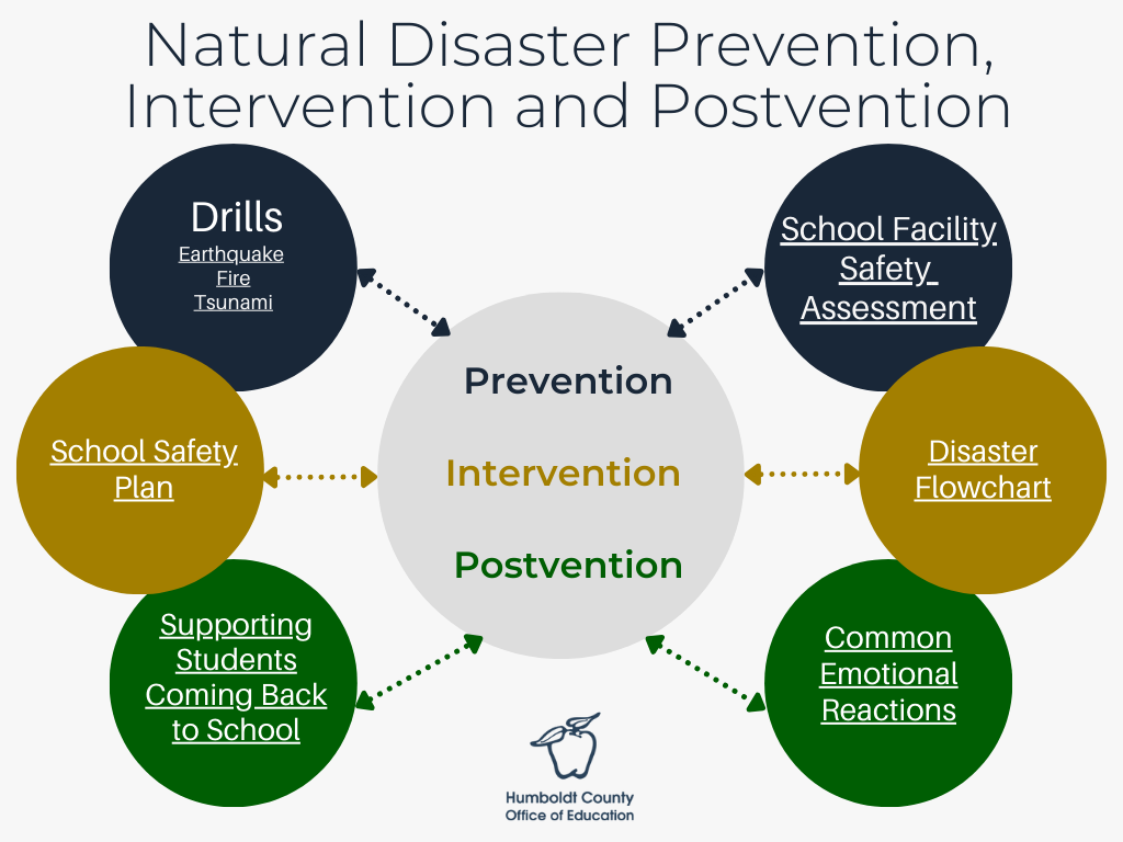 Natural Disasters Chart Visual